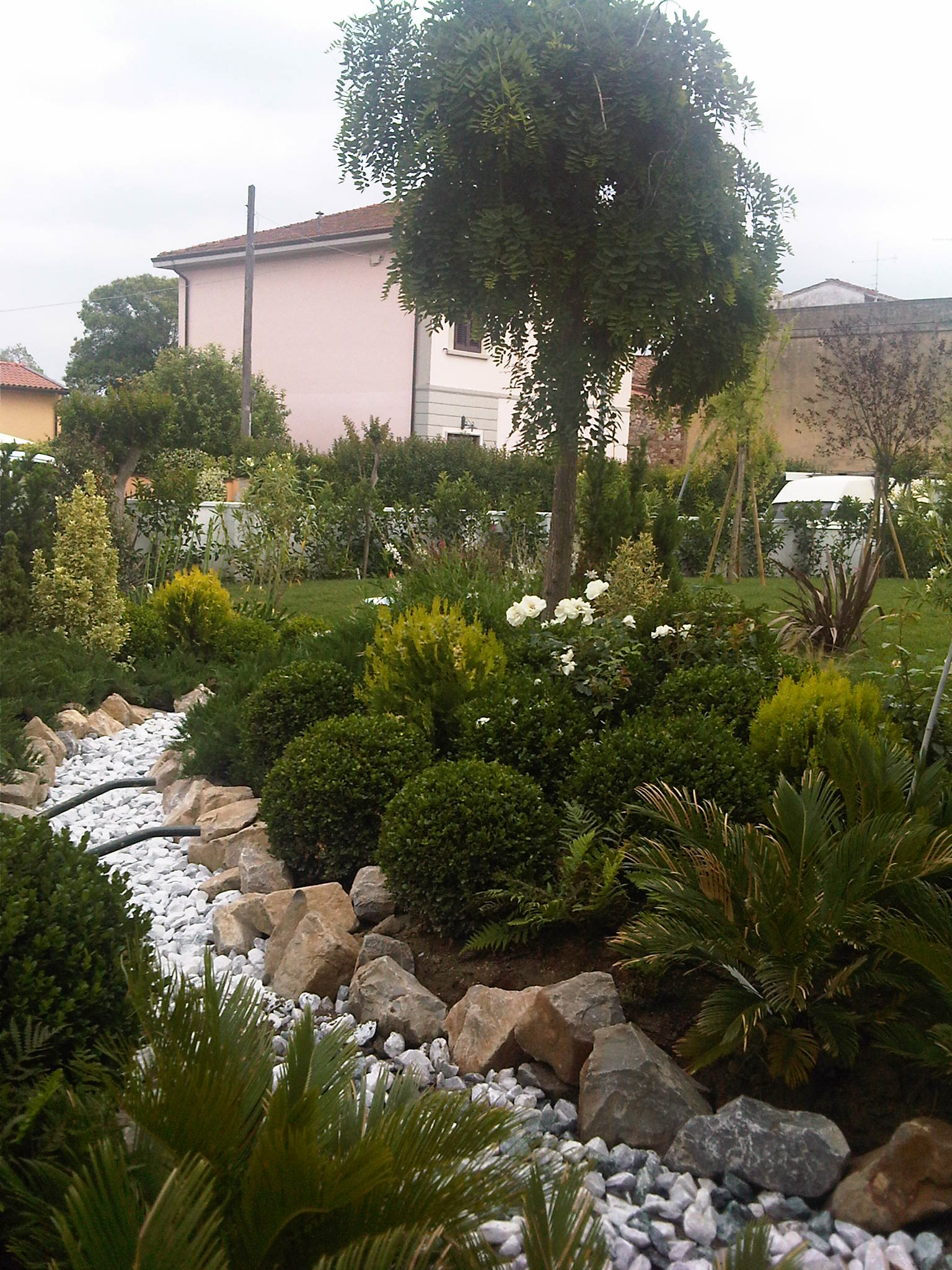 IMG00449-20120601-1541