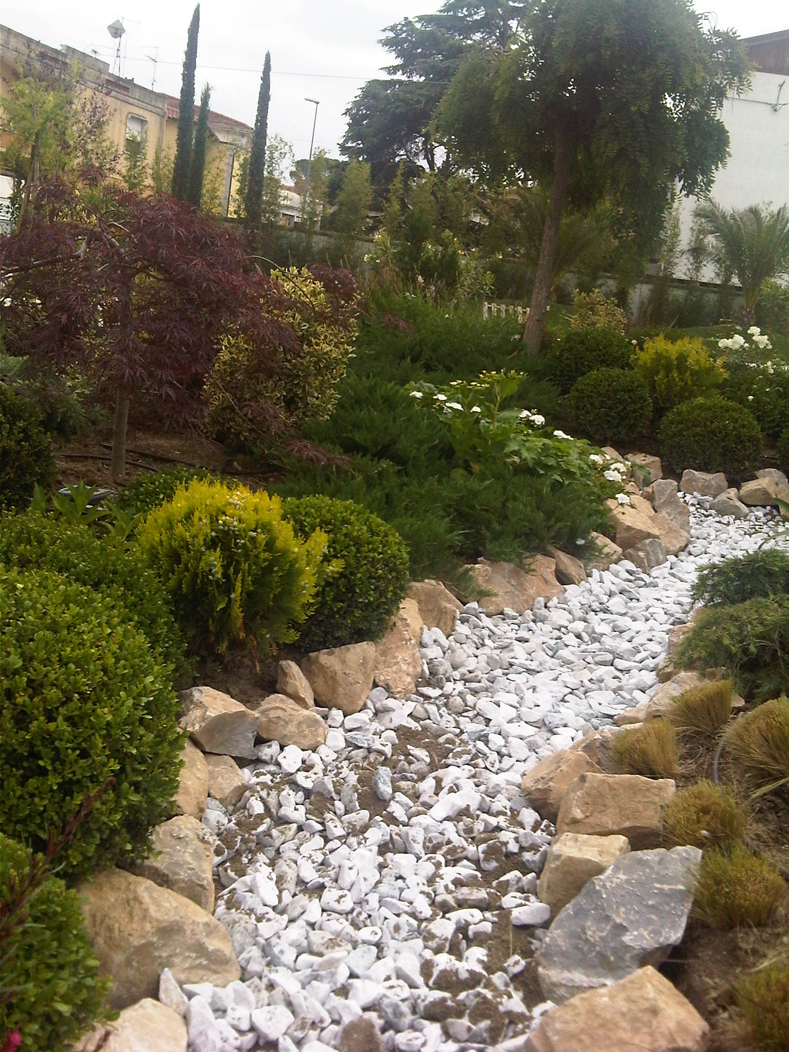 IMG00450-20120601-1542