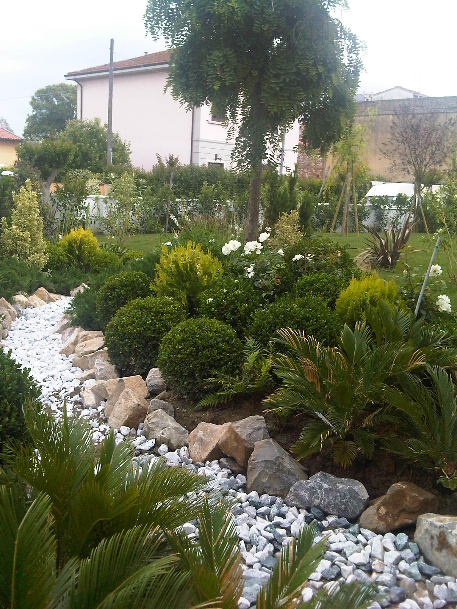 IMG00451-20120601-1545