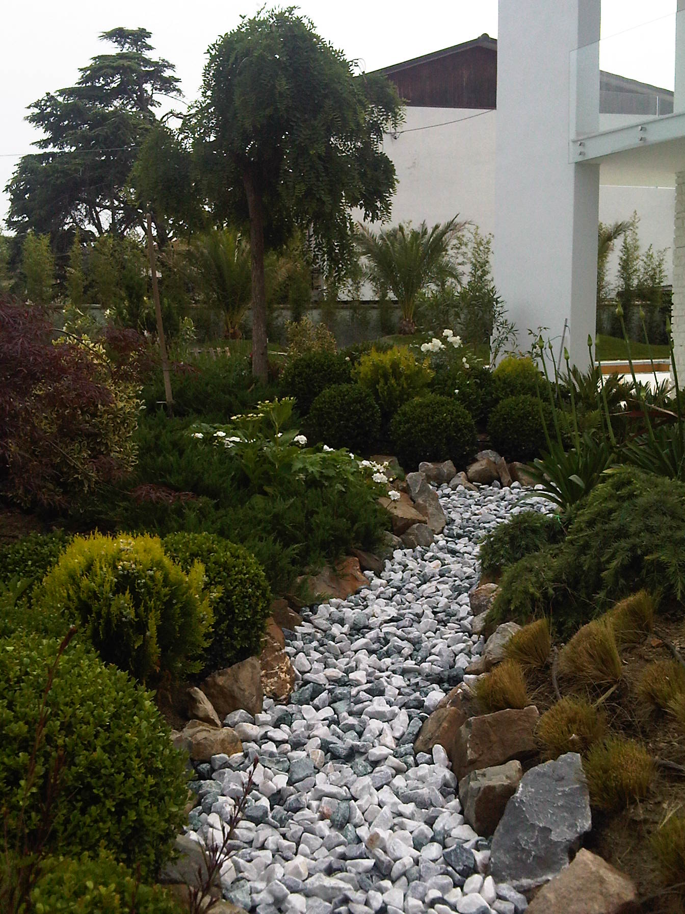 IMG00455-20120601-1712